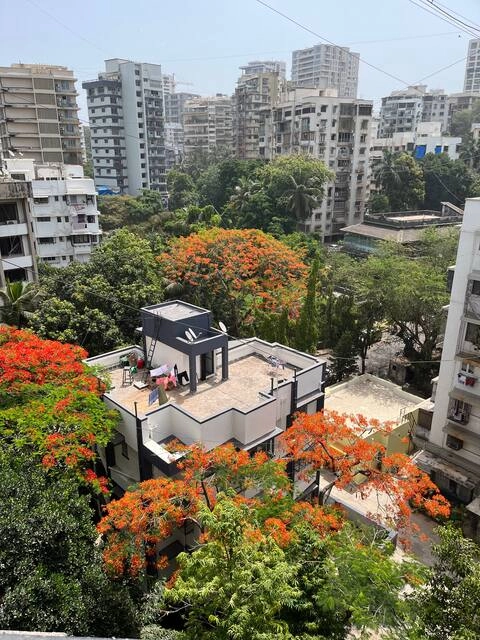 Eternal Sunrise (Sea Facing Apartment)